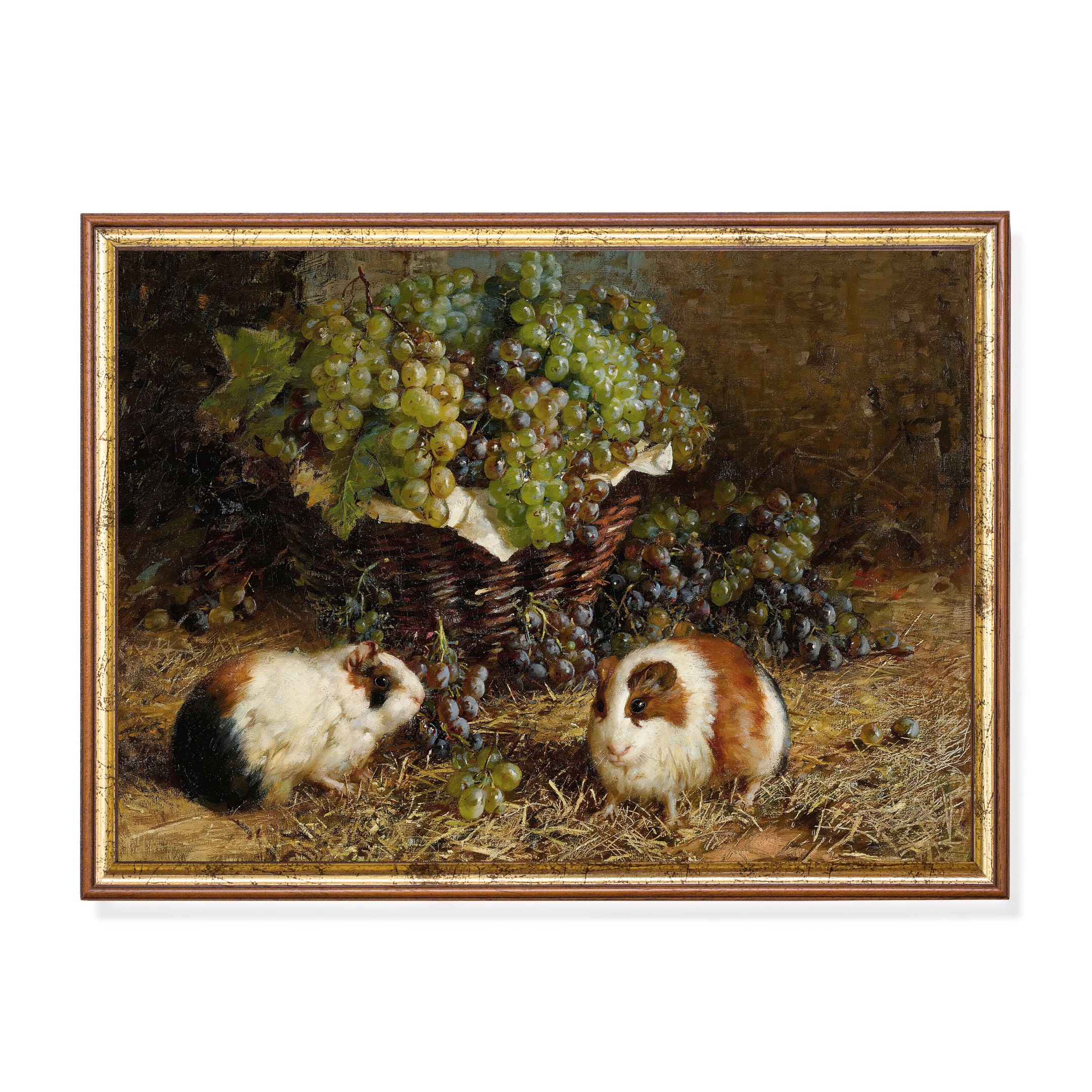 Antique Guinea Pig