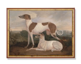 Cuadro antiguo de galgos: lámina artística de estilo rústico.