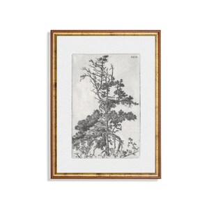 Vintage Sketch Drawing | Tree Etching Print | Antique Neutral Art | Rustic Tree Drawing | Printable Wall Art | Digital Download | Nature Art