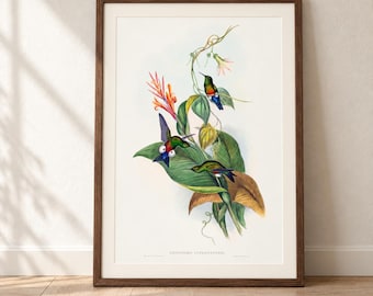 Vintage Hummingbird Botanical Wall Art Print – Colorful Bird & Tropical Flower Illustration, Natural History Decor