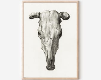 Vintage Stierschädel Poster: Rustikale Western Cowboy Kunst