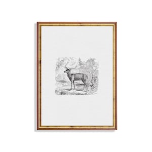 Vintage Stag Art Print: Rustic Deer Engraving, Cabin Wall Decor (Digital Download)