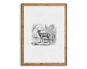 Vintage Sketch Drawing | Antique Deer Sketch | Printable Wall Art | Neutral Rustic Print | Vertical Art | Farmhouse Decor | Digital Download