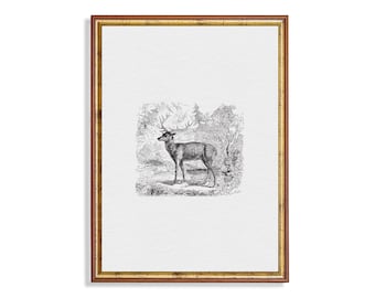 ヴィンテージ紳士の絵のプリント | アンティークな男性のスケッチ