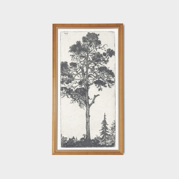 Vintage Pine Tree Drawing | Antique Sketch Print | Botanical Printable Wall Art | Neutral Rustic Decor | 12x24 Print | Digital Download