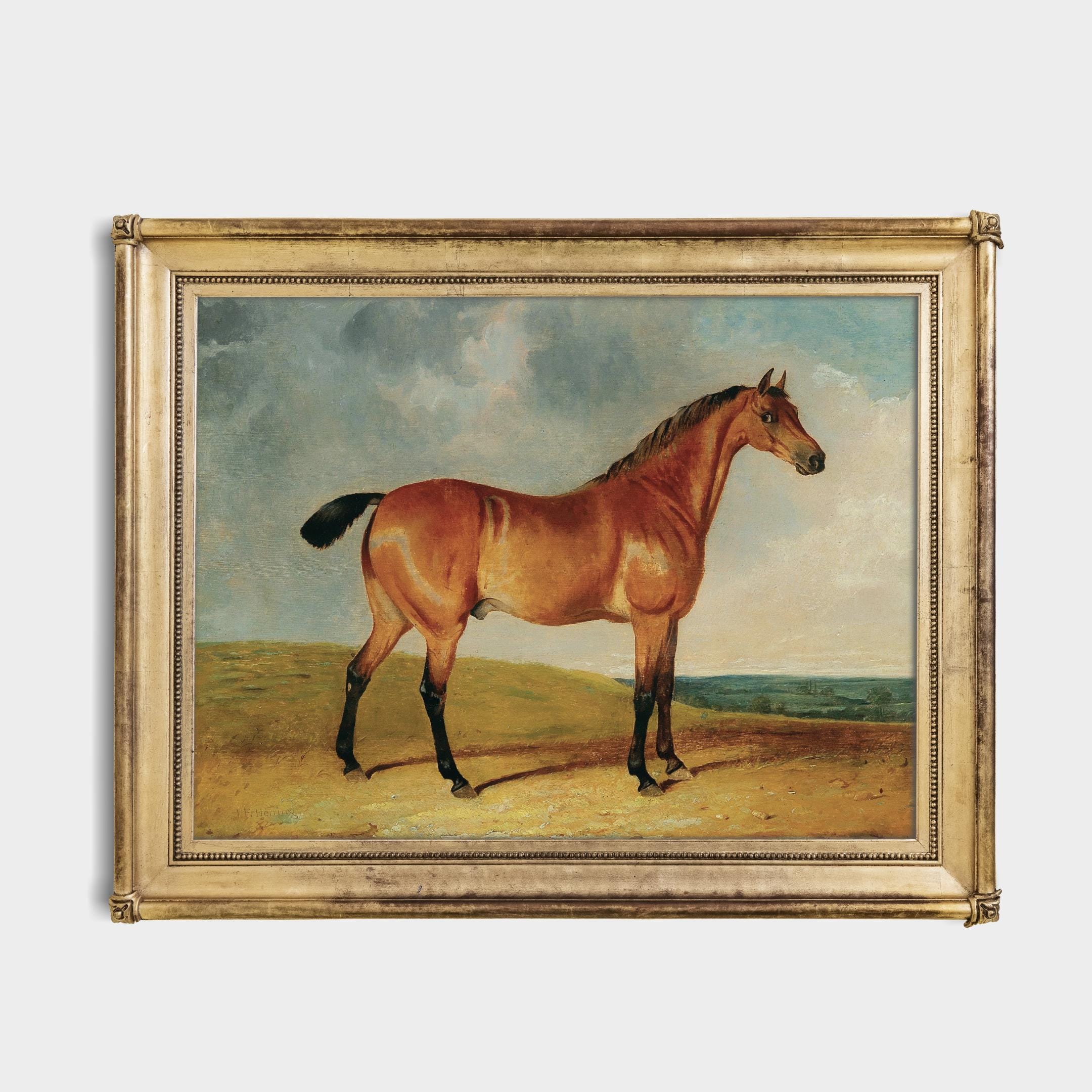 Vintage Horse Painting Print – Antique Equestrian Portrait, Classic ...