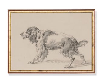 Vintage Dog Sketch Print: Antique Animal Drawing, Farmhouse Decor