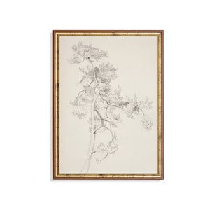 Vintage Tree Sketch Print | Rustic Botanical Wall Art (Digital Download)