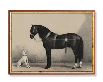 Vintage Horse and Dog Print: Antique Equestrian Wall Art (Digital Download)