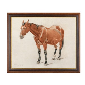 Printed and Shipped | Vintage Horse Print | Watercolor Horse Painting | Antique Equestrian Art | Animal Lover Gift | Physical Prints