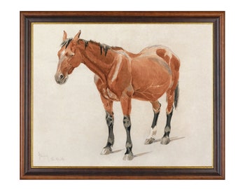 Vintage Horse Watercolor Painting: Antique Equestrian Art Print
