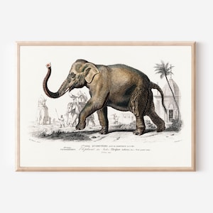Antique Elephant Print: 19th Century Indian Temple Scene