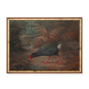 Printed and Shipped | Vintage Bird Painting | Antique Art Print | Birds wall art | Kids wall decor | Nursery Prints | Fine Art