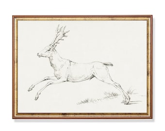 Vintage Deer Sketch Print: Rustic Wildlife Art Reproduction