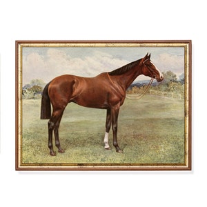 ヴィンテージ馬の絵画：アンティーク乗馬アートプリント