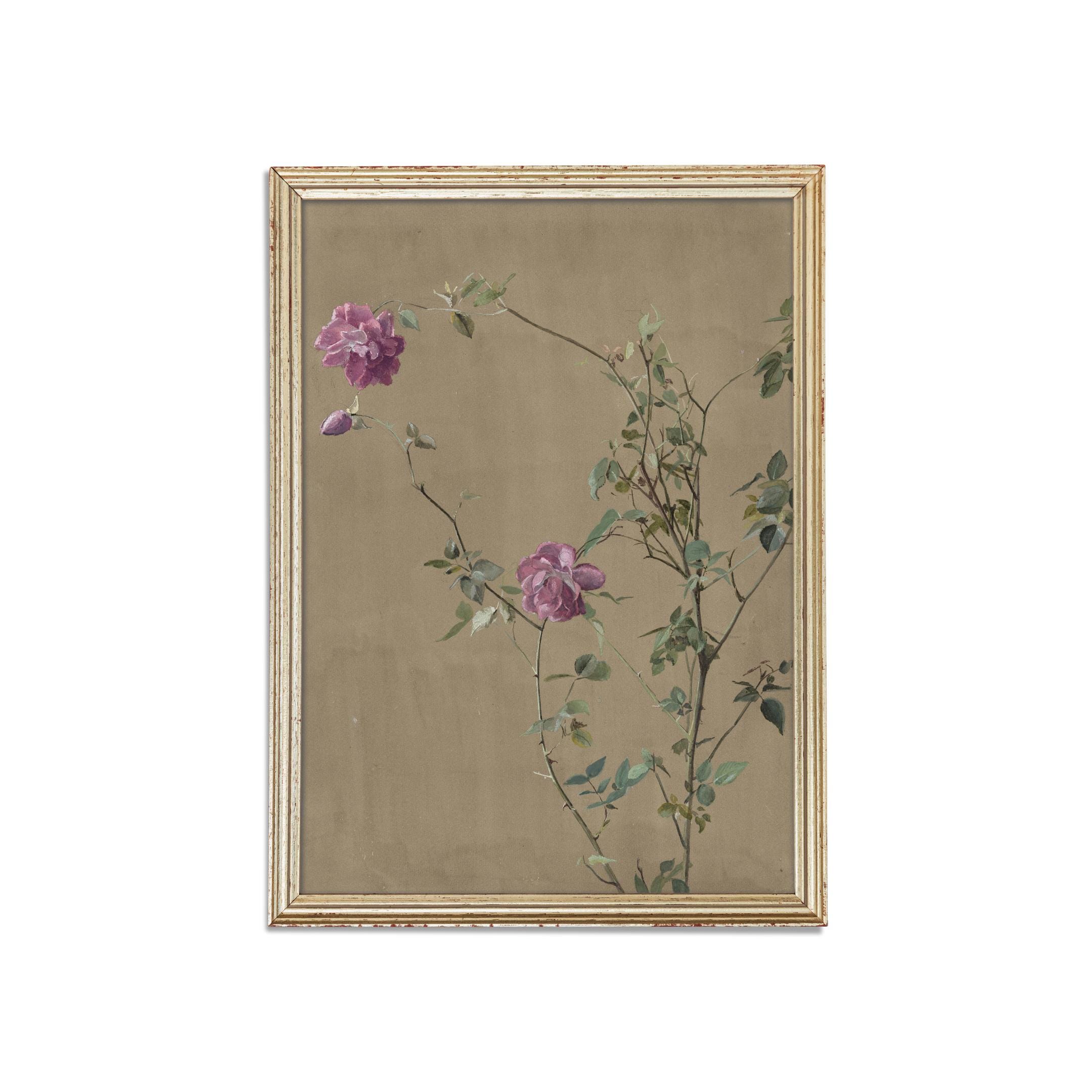 Vintage Rose Botanical Art Print Digital Download – Antique Floral ...