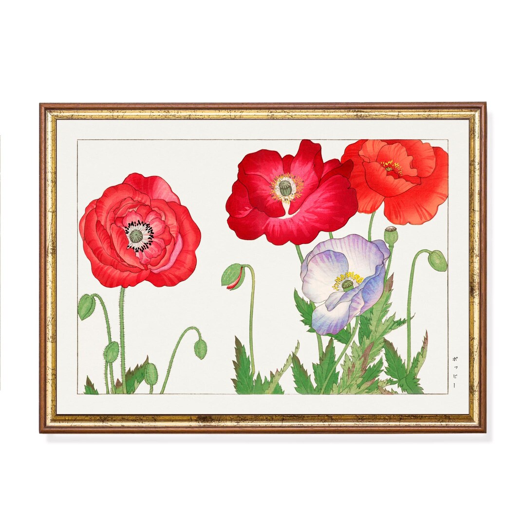Vintage Poppy Botanical Art Print Digital Download – Antique Red ...