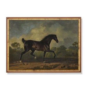 ヴィンテージの黒馬の肖像画プリント - アンティークな馬のウォールアート、雄大な種馬の絵画、勉強部屋や図書館に最適なダークな馬術装飾