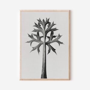 Impresión botánica vintage: obra de arte de ramas de árbol estilizadas en blanco y negro, arte minimalista de ciencias naturales para decoración moderna o nórdica.