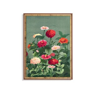 Vintage Zinnia Blumendruck - Bunte antike botanische Wandkunst, Bauerngarten-Blumenkunstwerk für Frühlings- oder Sommerdekor