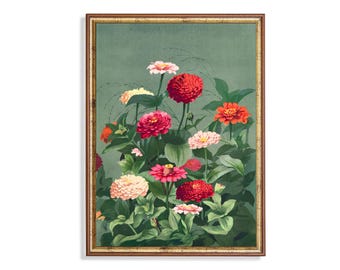 Lámina vintage de flores de zinnia: Arte mural botánico colorido para jardín campestre.
