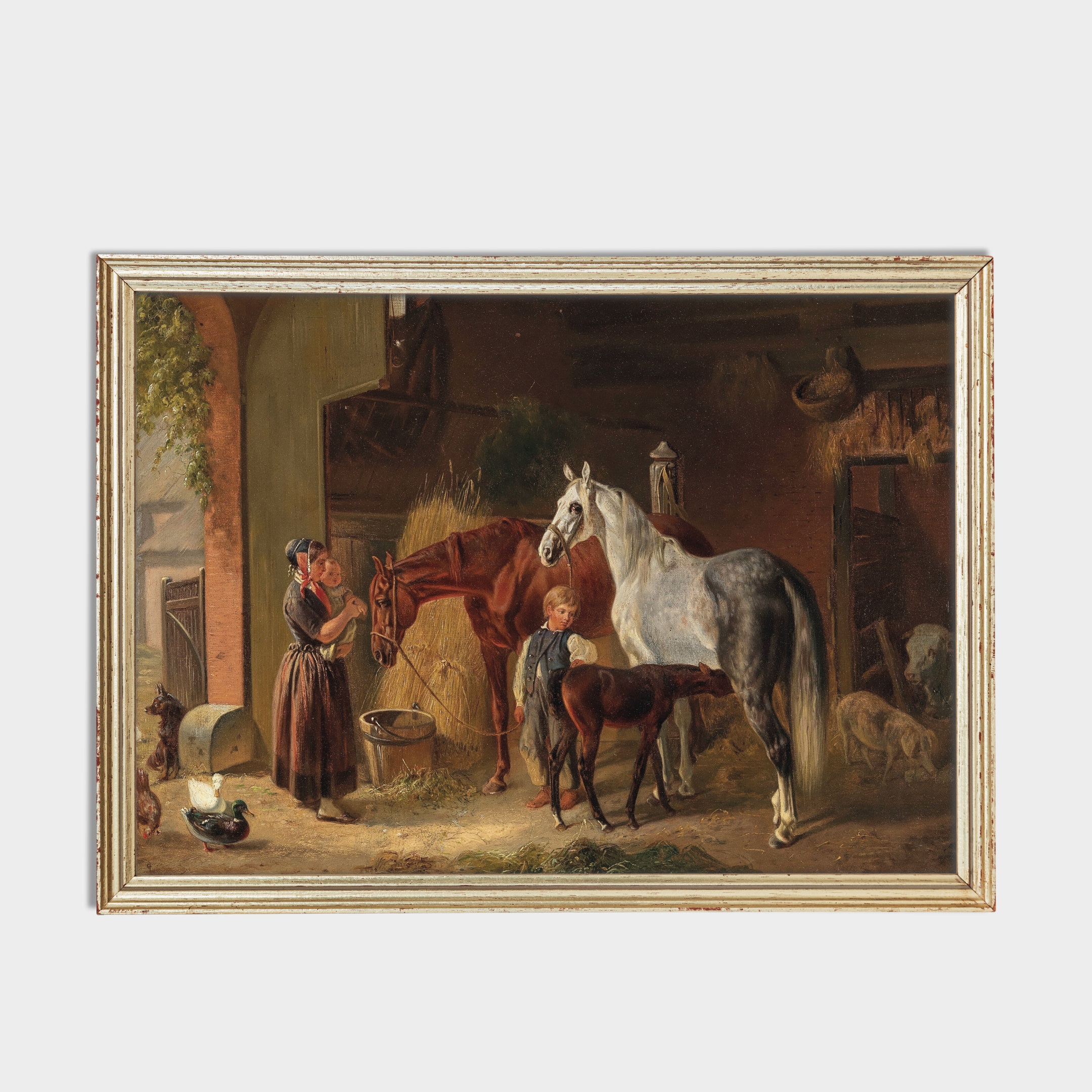 Stampa artistica da parete rustica con mucca delle Highland