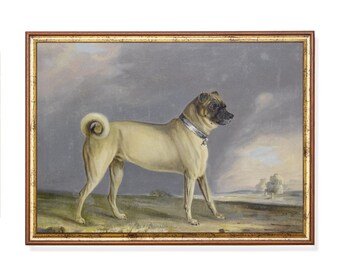 Vintage Pug Portrait Print: 19th Century Antique Dog Art