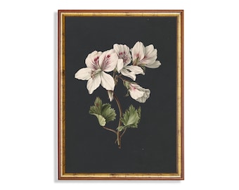 Vintage Floral Painting: Dark Moody Botanical Art Print