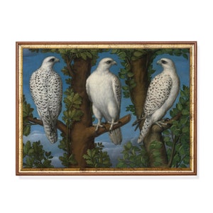 Vintage Falke Print: Antike Vögel Malerei, Bauernhaus Dekoration