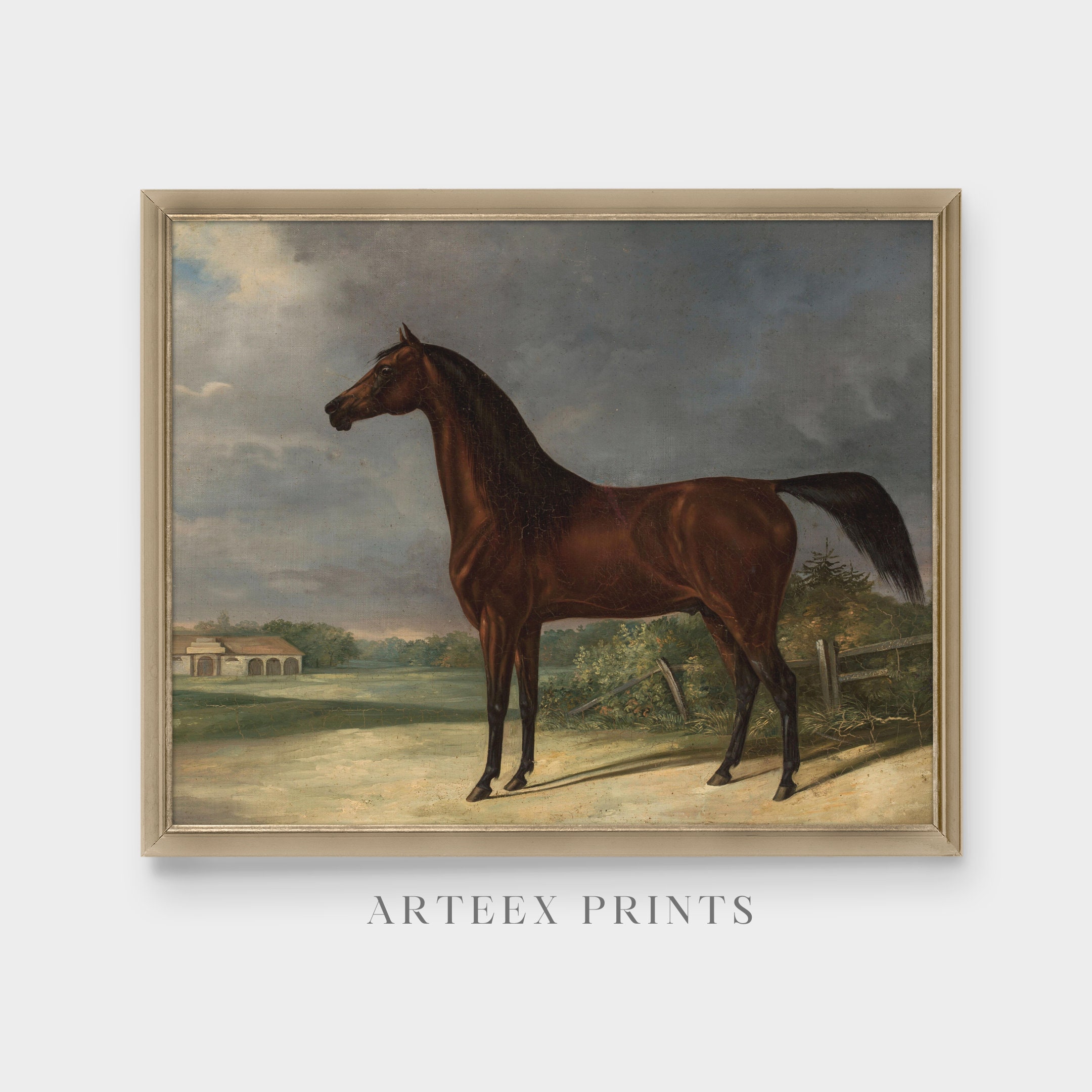 Vintage Horse Painting Antique Equestrian Print Moody - Etsy