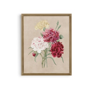 Vintage Carnation Botanical Print: Antique Floral Wall Art