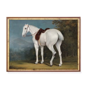Antique White Horse Portrait: 19th Century Equestrian Art (Digital Download