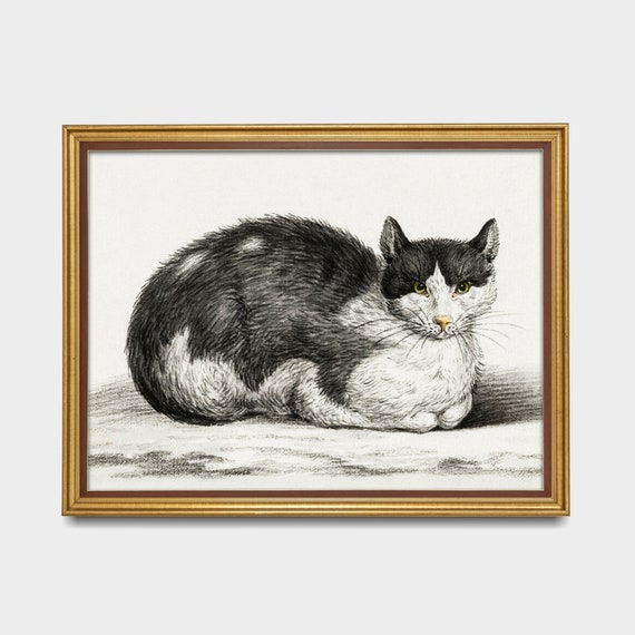 calcium Uitbarsten Beschrijvend Vintage Kat Tekening Antieke liggende kat print Kat Lover - Etsy Nederland