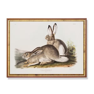 Vintage Rabbit Print: Antique Bunnies Painting, Farmhouse Decor (Digital Download)