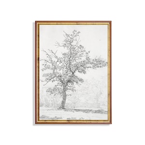 Vintage Tree Sketch Print: Antique Forest Drawing (Digital Download)