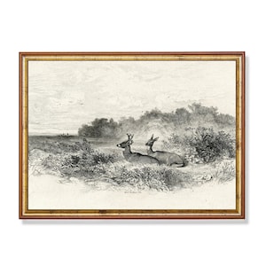 Vintage Deer Etching Print – Antique Wildlife Artwork, Black and White Forest Art, Rustic Countryside Wall Decor