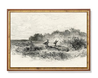 Printed and Shipped | Vintage Sketch Drawing | Antique Deer Print | Neutral Animal Art | Farmhouse Decor | Fine Art | Physical Prints