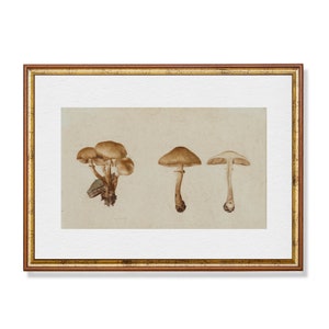 Print and Ship | Vintage Still Life with Mushrooms | Antique Kitchen Print | Farmhouse Decor | Mushroom Rustic Art | Mailed Art