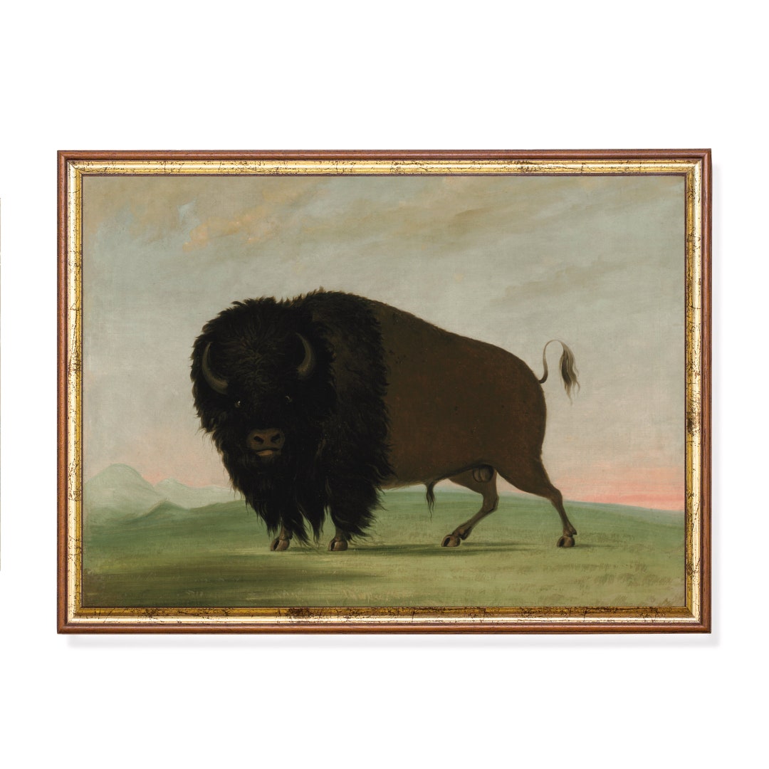Antique Bison Painting: Rustic Western Buffalo Art Print (digital ...