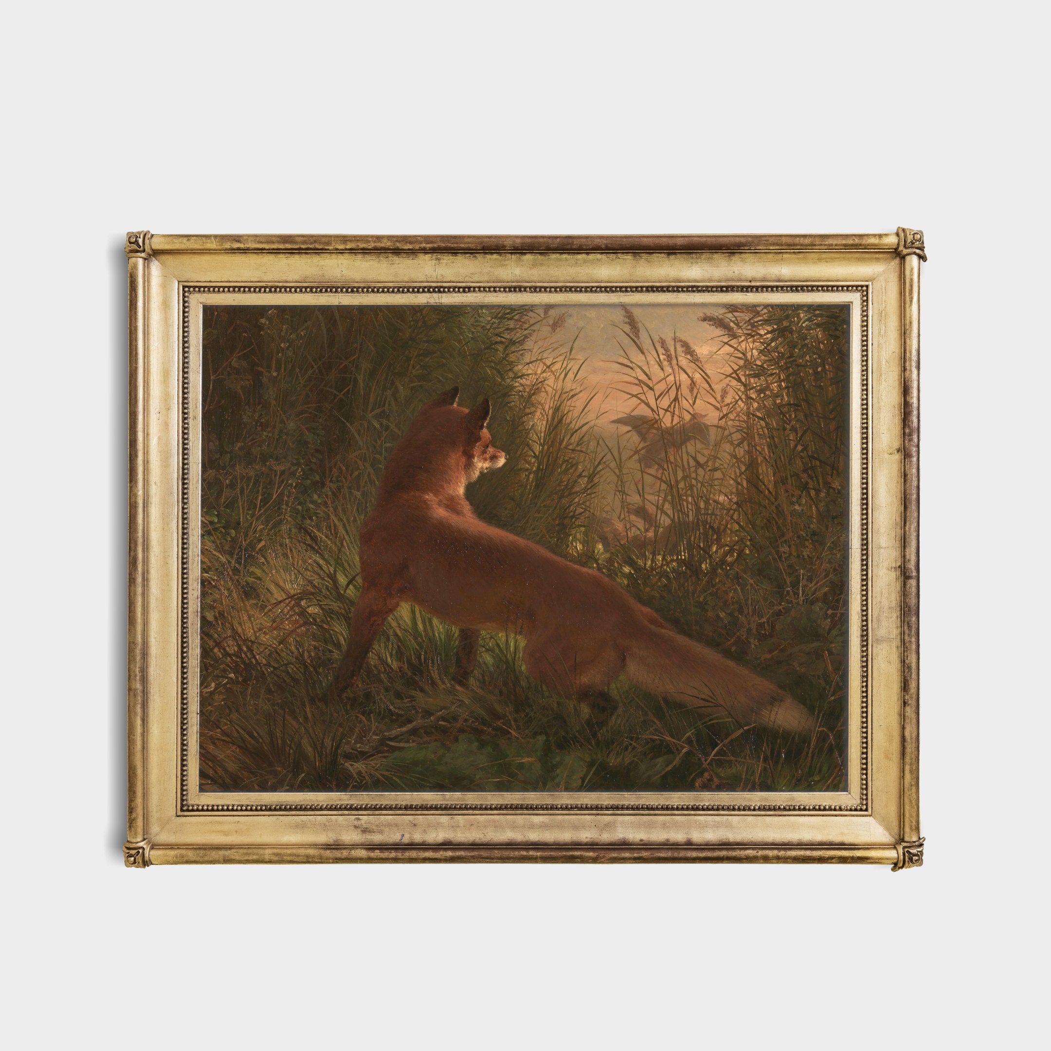 Vintage Gallery Wall Art Set Antique Animal Paintings Set - Etsy