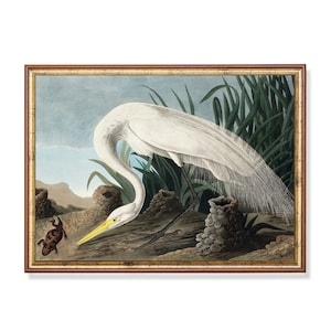 Vintage White Heron Print: Antique Bird Art, Farmhouse Decor