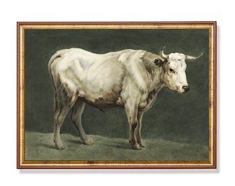 Antiker Stier: Vintage Bauernhaus Tier Kunstdruck