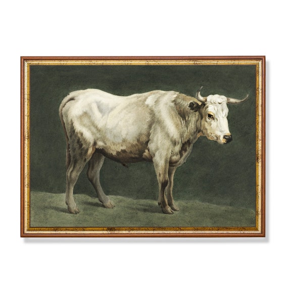 Vintage Animal Print Antique Bull Painting Farm Animal Art - Etsy Australia