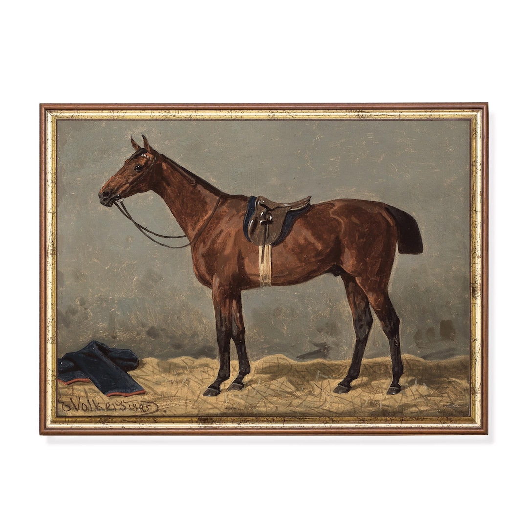 Vintage Horse Portrait Art Print: Antique Equestrian Wall Decor ...
