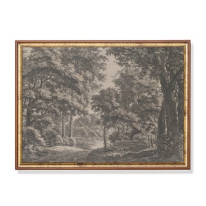 Op de afbeelding: Een ingelijste zwart-witte tekening van een boslandschap met een pad dat door de bomen loopt. De tekening is in een bruin frame met een gouden rand.