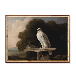 Vintage Falke Print: Stimmungsvolle Bauernhaus Kunst