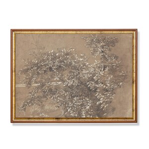 Vintage Botanical Sketch | Antique Drawing Print | Digital Download | Neutral Tree Art | Printable Wall Art | Farmhouse Decor | Rustic Print