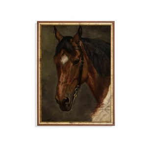 Vintage Horse Art Print: 19th Century Equestrian Stallion Portrait (Digital Download)