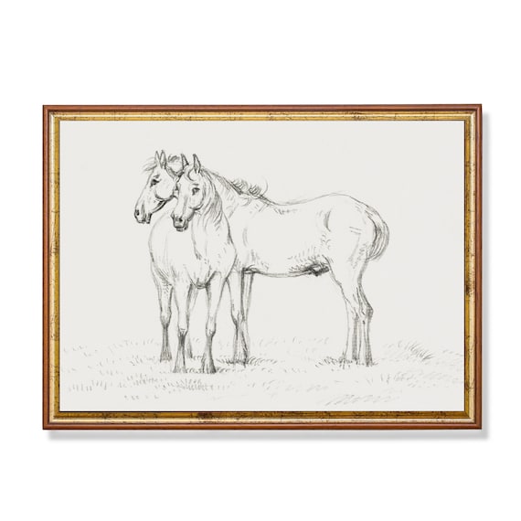 一緒に立っている 2 頭の馬 | ビンテージ スケッチ画 | アンティーク