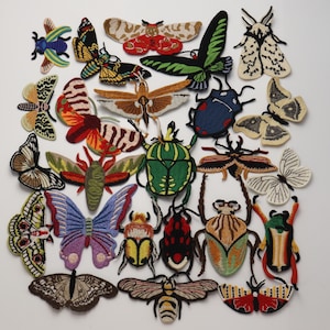 Insekten-Aufnäher zum Aufnähen, gestickte Aufnäher für Jeans, Abzeichen, Stickerei-Applikationen, 1 Set